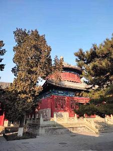 PEKIN - BIG BELL TEMPLE - Temple de la Grosse Cloche  (42)
